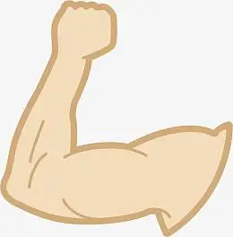 矢量人体肌肉结构图