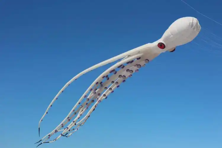 太酷了就是好晒 太晒了可是风筝好好看啊#风筝  #平潭  #平潭旅游