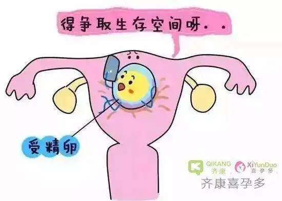 危害女性生育的顽固杀手宫腔粘连,可以做试管吗?