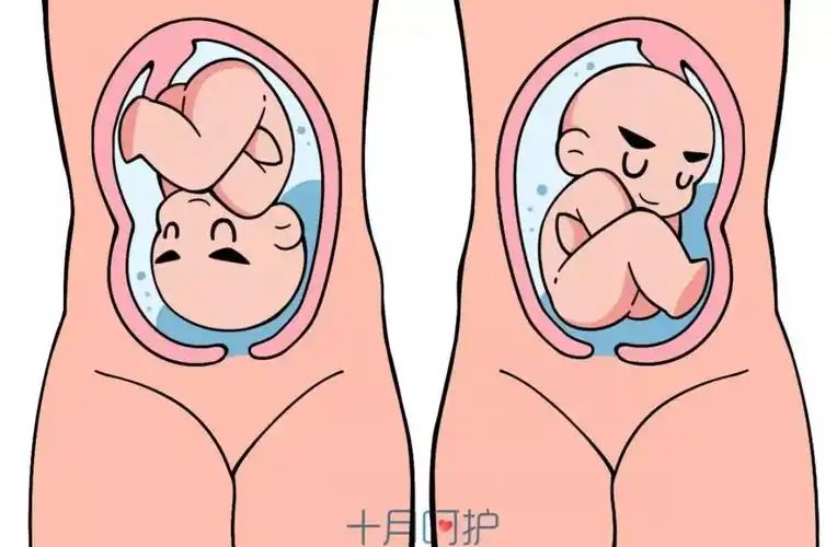 感觉肚子往下掉胎儿入盆关键期这些方法能帮你顺利分娩