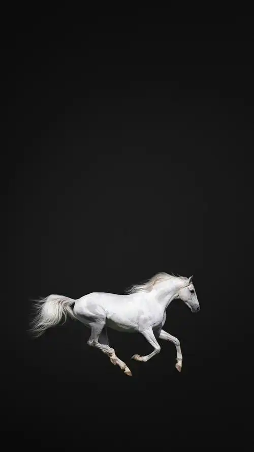 黑白系个性壁纸