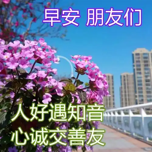 发朋友圈早上好早安句子早安问候图片微信祝福朋友早上好早安图片