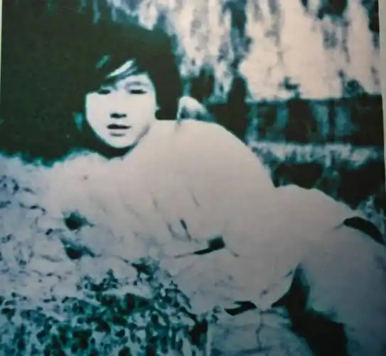 禹王山前线女英雄刘守玟——禹王山抗日阻击战英雄谱1