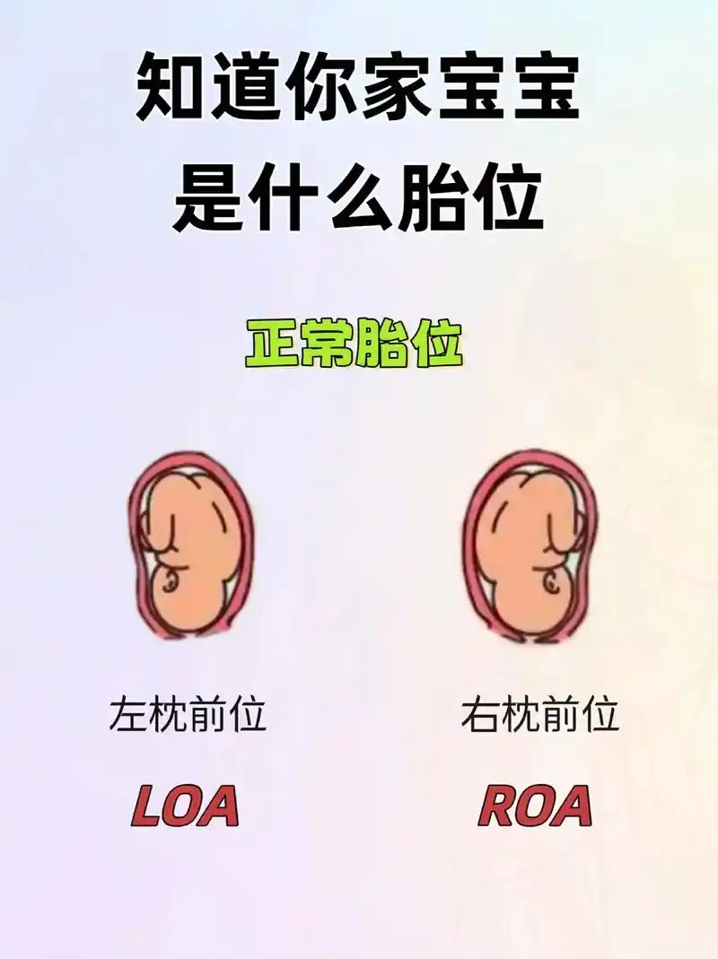 看看你家宝宝什么在肚子里是什么姿势孕妈妈们快来看!如果胎位 - 抖音