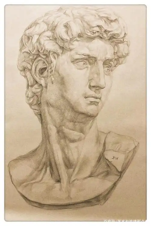 素描石膏像大卫正规步骤