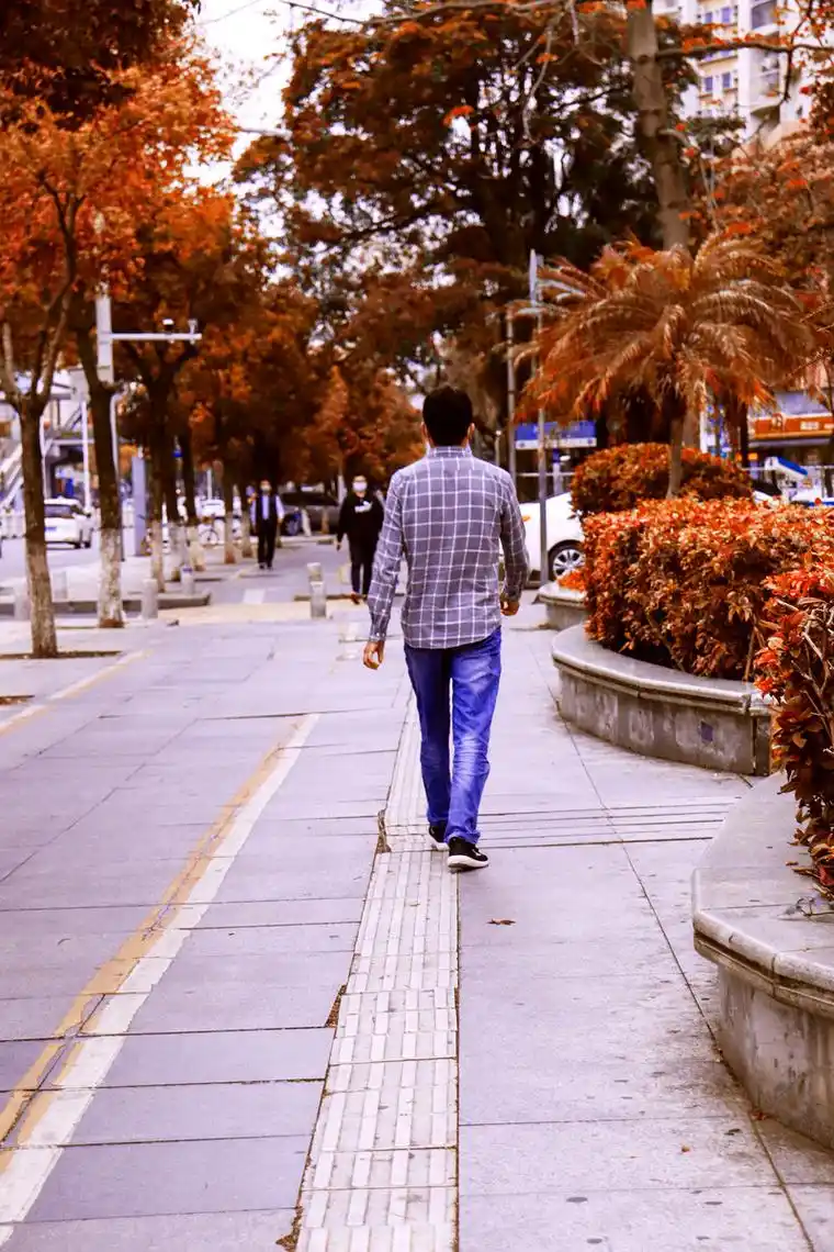 中年金秋你温暖可靠坚实的背影