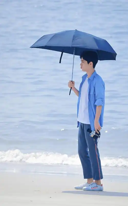 高清浏览下一张下一组图0收藏0喜欢专  题小清新标  签肖战帅气海边小