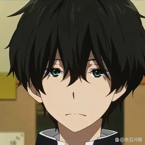 51566折木奉太郎 高质头像 番名:冰菓 禁止盗图