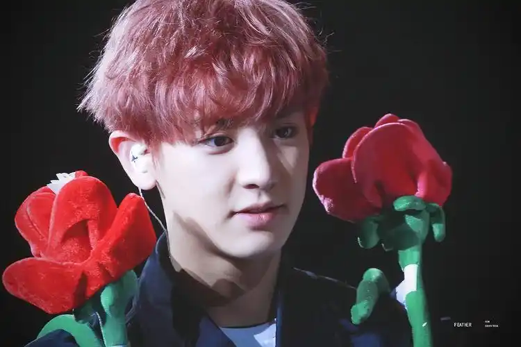 朴灿烈#160214洛杉矶演唱会 - 堆糖,美图壁纸兴趣社区