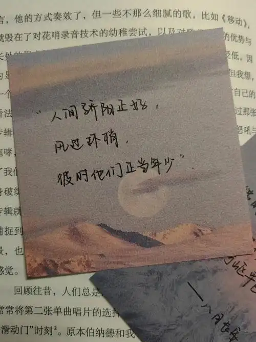 手写摘抄文案|唯美书摘短句|青春