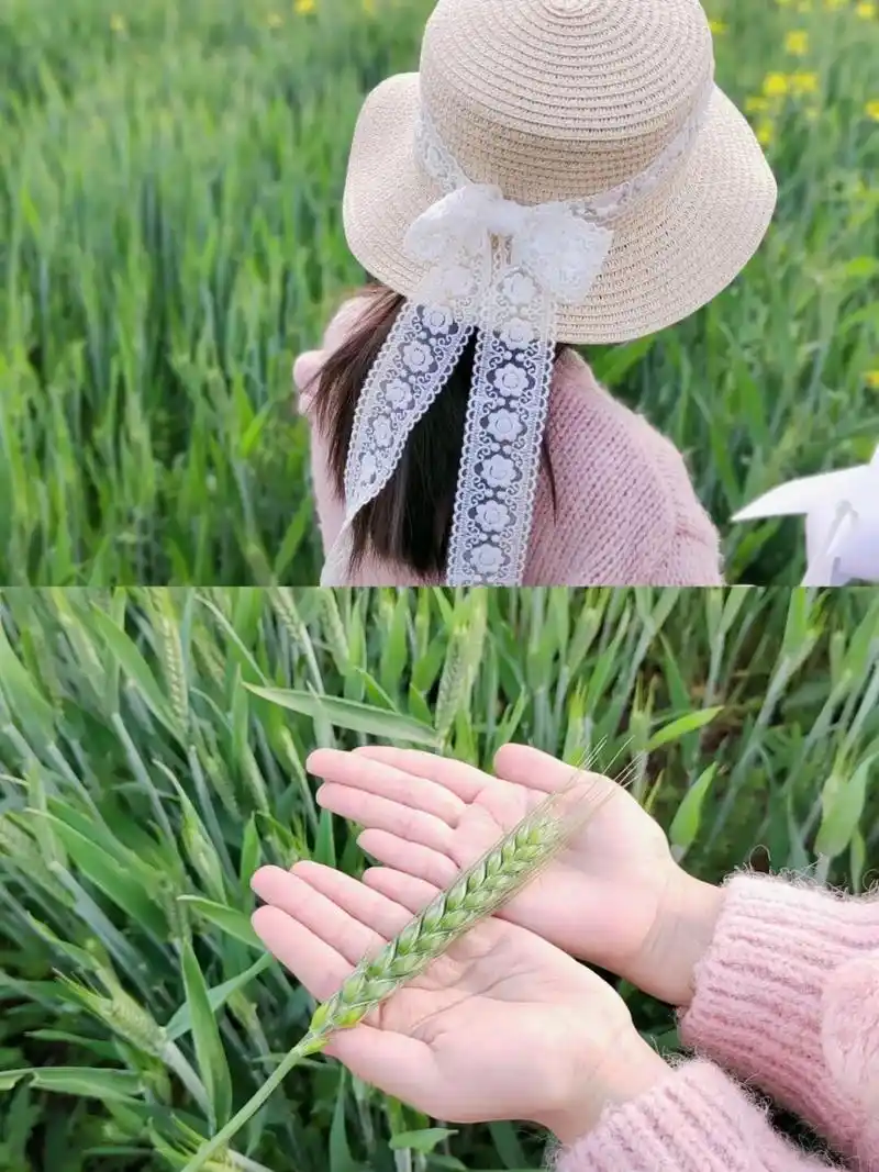治愈系小清新麦田照～～背影很哇塞的女孩 换个地方看人间烟火, 去