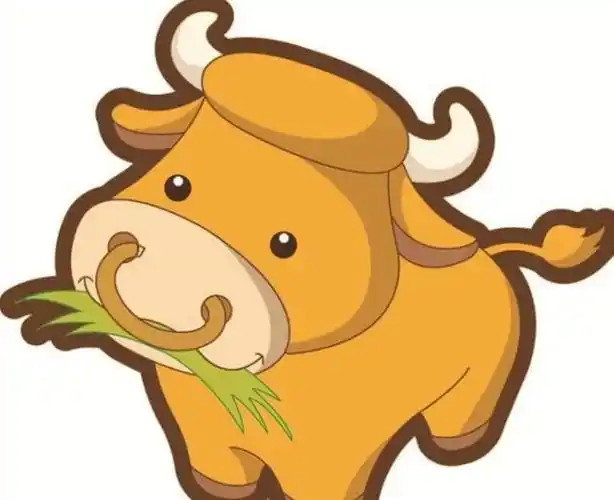 盘点十二生肖的初恋老黄牛竟然喜欢这样的快来看看你的