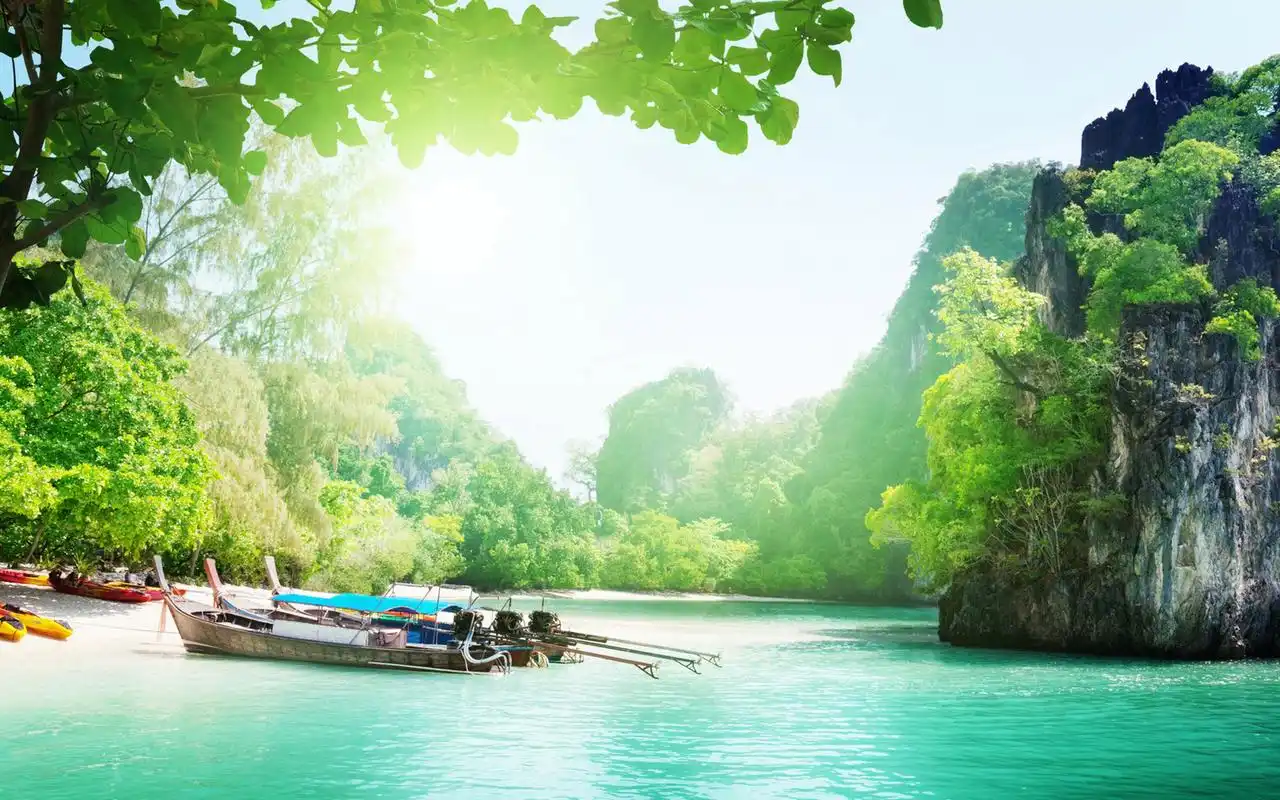 2.苗好一半谷,妻好一半福