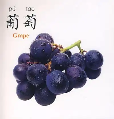 看图识字:水果产品介绍_看图识字:水果说明书_pcbaby母婴用品库