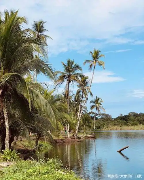 哥斯达黎加之旅:精致美景处处称奇,著名旅游胜地