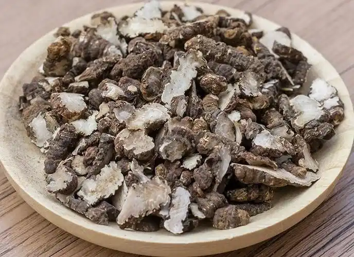 每日中药——蚤休