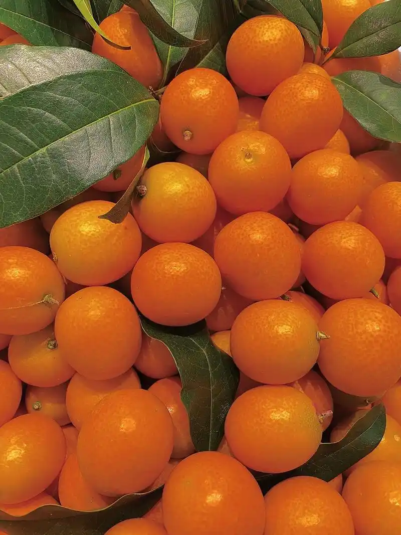 水果#壁纸 #拍照 #生活 #热爱 - 抖音