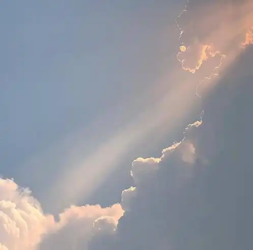 头像简约干净图片