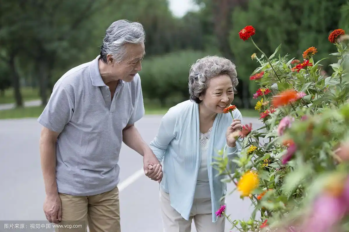 在公园散步的恩爱老夫妻