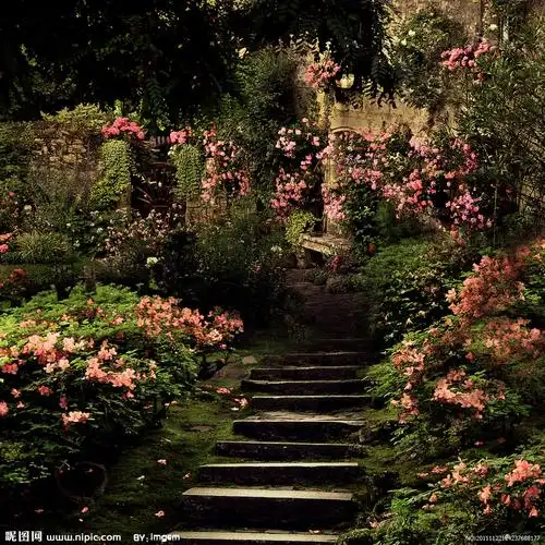 浪漫与童话森林