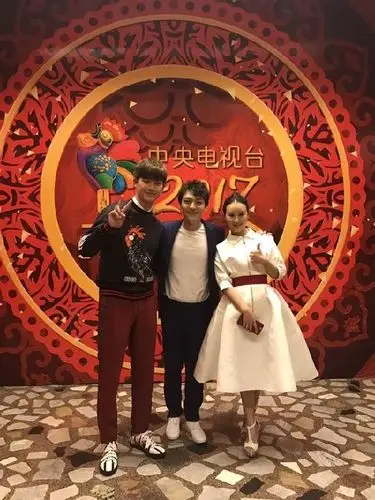 青年歌唱家王雅洁受邀参加央视元宵晚会