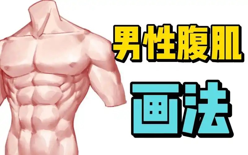 轻松驾驭男性腹肌画法!