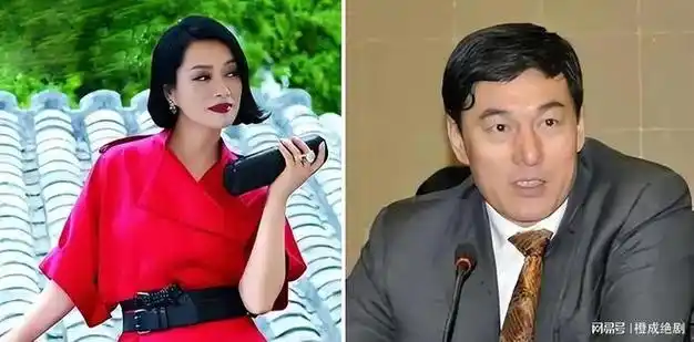 "传奇歌手"毛阿敏, 一个男人坑走她所有财产, 另一人给她260亿|韩红