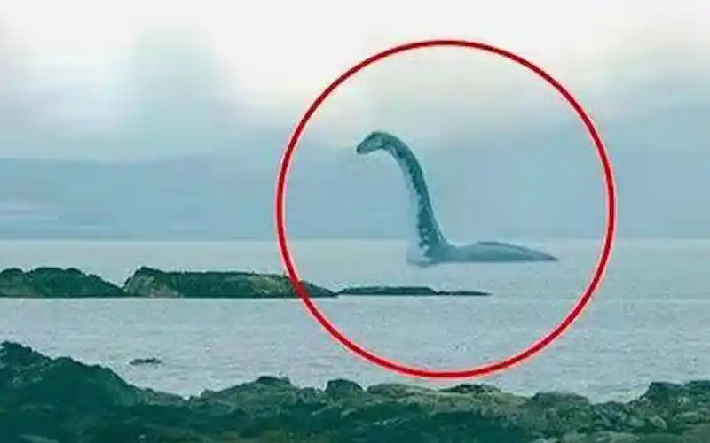 【神秘禁区】长白山天池惊现水怪,真的存在巨型不明生物?