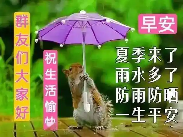 夏天最漂亮早上好动态表情图片大全2022夏日早晨好祝福语动图美图大全