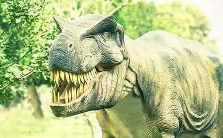 恐龙灭绝与"核冬天" 阅读答案