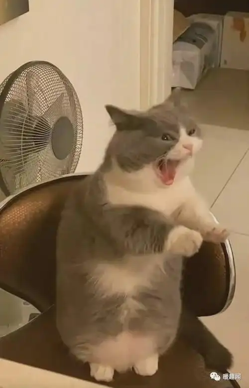 笑到肚子疼的沙雕搞笑幽默图片(一一四) - 知乎