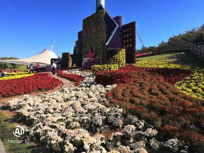 被菊为主,中间控配盆景菊,悬崖菊,立体造型菊, 整个花展由九部分组成