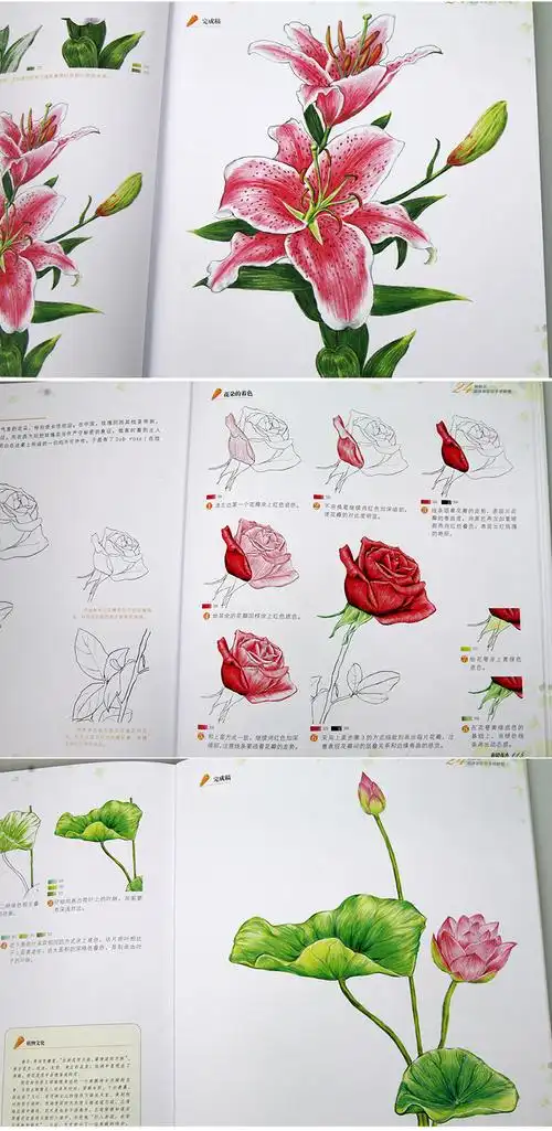 包邮 彩铅花卉 零基础彩铅画入门教程 24种手绘素描鲜花技法 初学美术