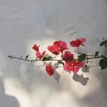 2020最新四月微信风景头像清新唯美微信风景头像大全