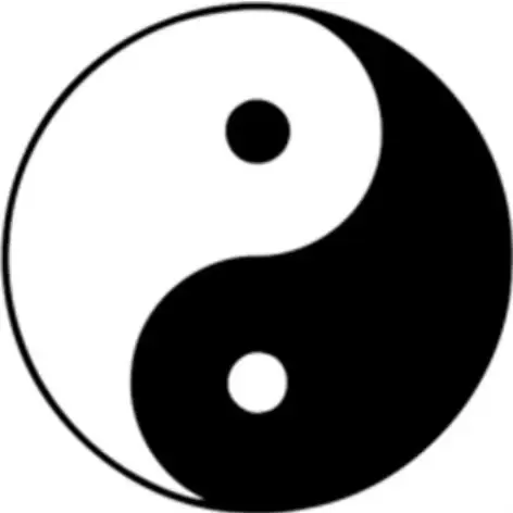 图6-1 太极图有趣的是,中国人对这种有自相似结构的形态早有认识,情有