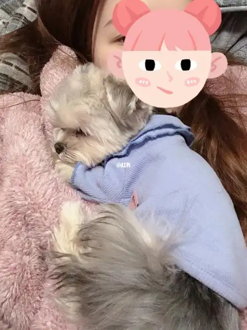 趴在怀里睡着的小可爱心都要化啦0778