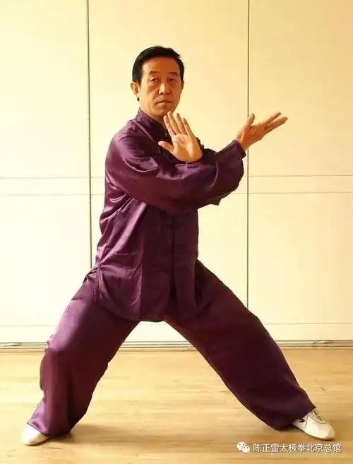 陈正雷老师演示:陈氏太极拳精要十八式——第三式懒扎衣