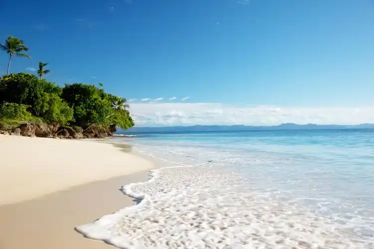 黄沙背景中的美丽的大海