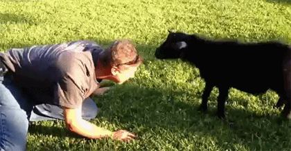 这下完犊子了!这是亲爹才干的事多少人就这么散了之后