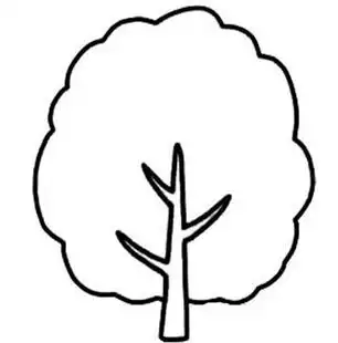 简笔画如何画一棵大树