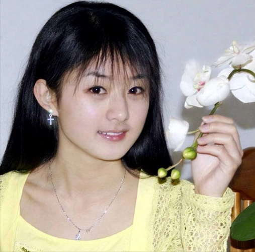 仅一年时间,赵丽颖与冯绍峰的现状一对比,才明白他们为何离婚