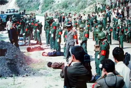 最终在番禺附近的一个刑场,一声枪响,张子强结束罪恶的一生.