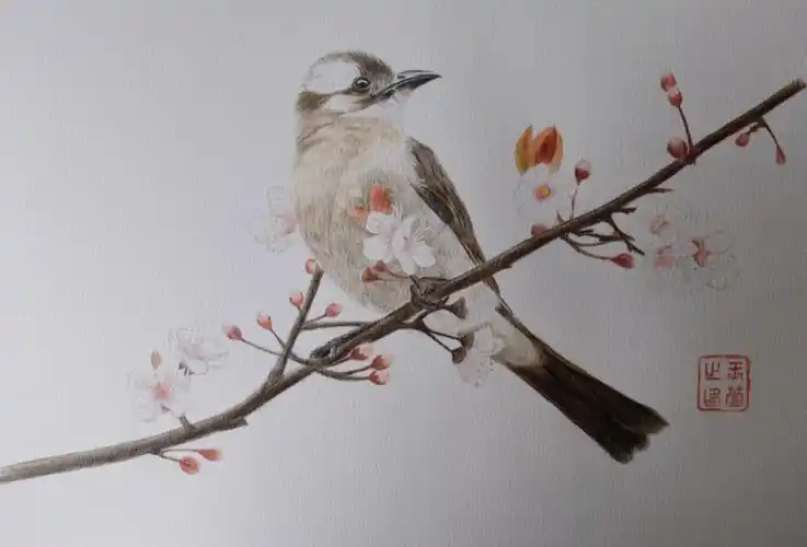 彩铅手绘,小麻雀