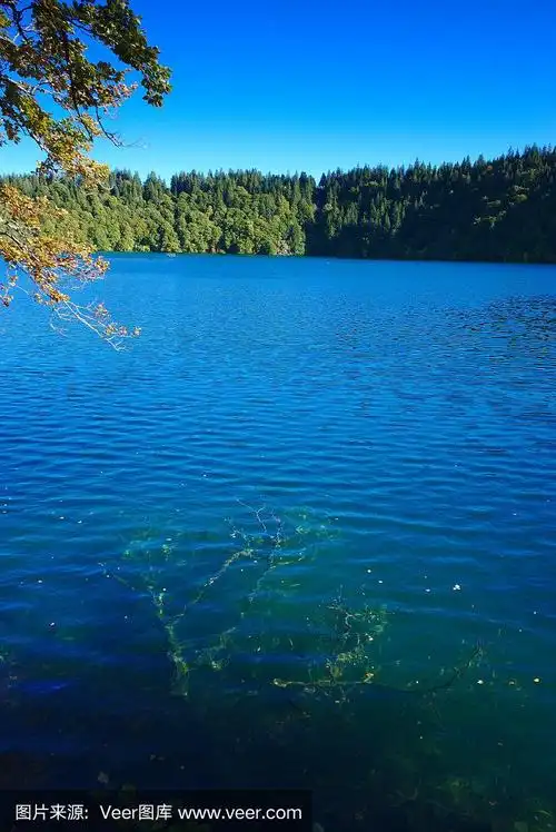 奥弗涅的巴温湖的蓝色湖水