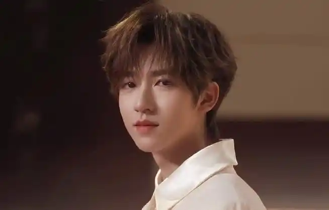 贺峻霖智族gq创意大赏