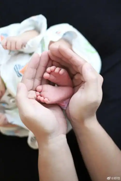 神童baby曝郑恺6个月女儿会弹钢琴经常跟苗苗探讨育儿经明星电影文章