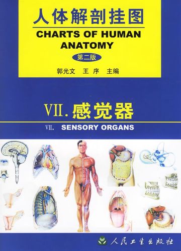 人体解剖挂图:感觉器第2版