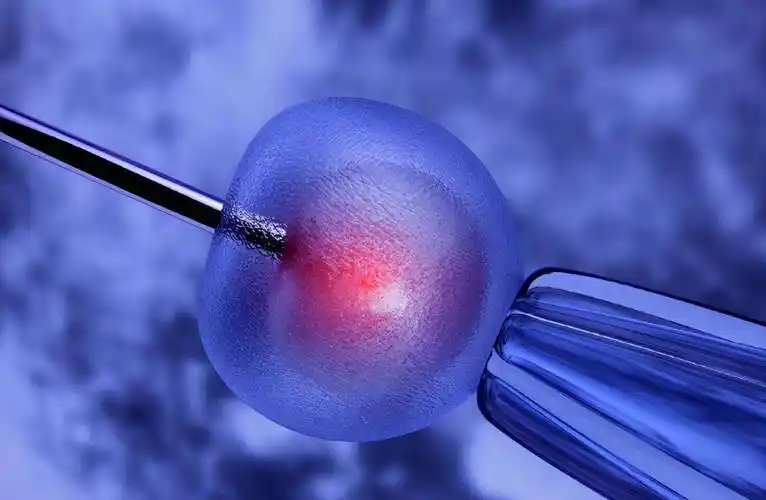 冻卵:是部分女性当妈妈的保障,也是她们的"后悔药"_技术_生育_卵细胞