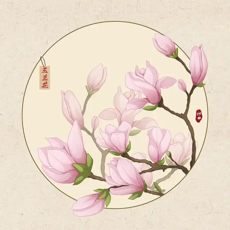 原创植物系列插画玉兰花完整图.原创植物系列插画打卡d16#米 - 抖音