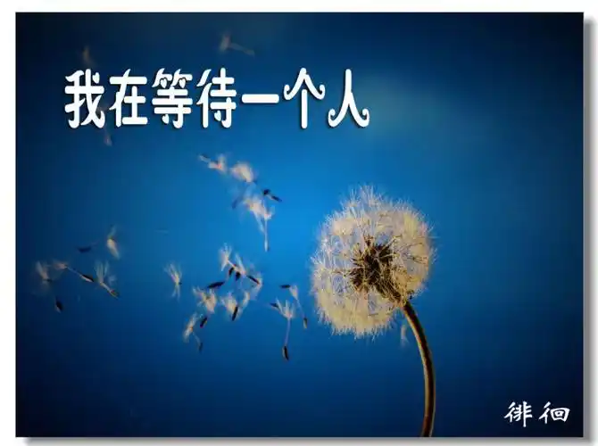 我在等待一个人